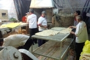 روزانه پنج هزار قرص نان از کاشمر صادر می‌شود