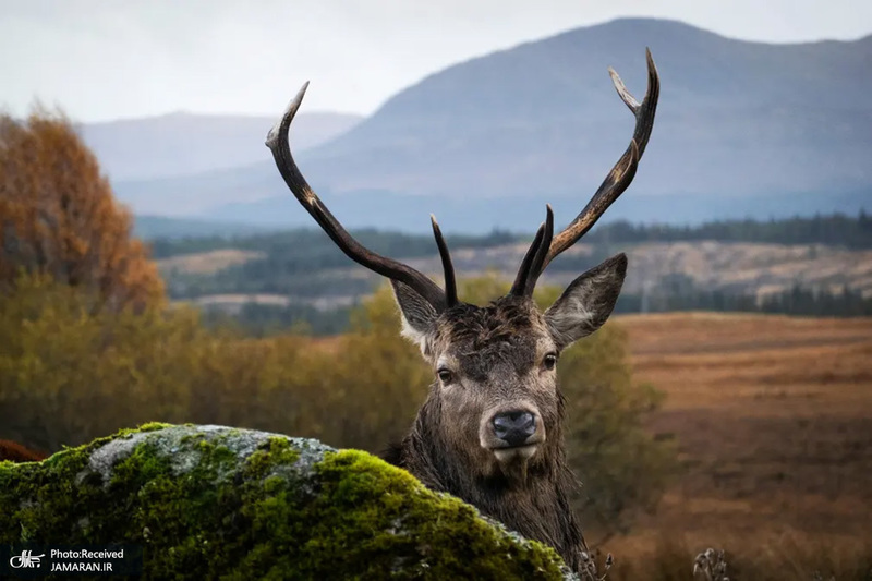 منتخب تصاویر امروز جهان - 7 آبان 1401