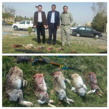 دستگیری 2 شکارچی متخلف در شهرستان مشگین شهر