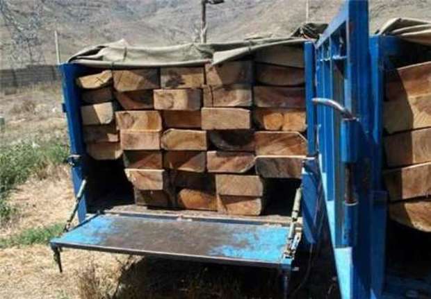 افزون بر دو تن چوب جنگلی قاچاق در گنبدکاووس کشف شد