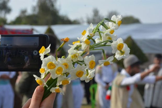 برگزاری جشنواره گل نرگس فرصتی مناسب برای معرفی جاذبه های خوزستان است