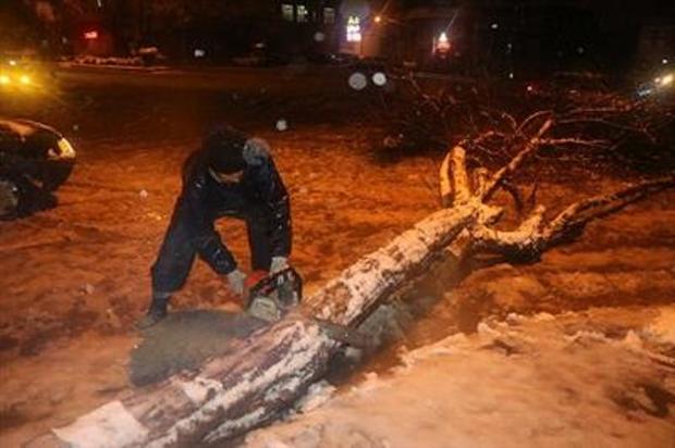 875 اصله درخت در سنندج قربانی بارش برف شد