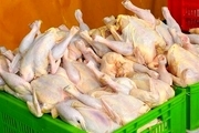 172 تن مرغ در کردستان توزیع شد