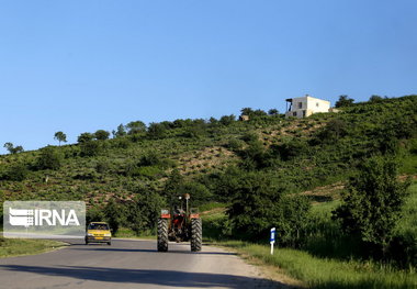 ۸۱۴ هکتار از منابع طبیعی مهاباد رفع تصرف شد