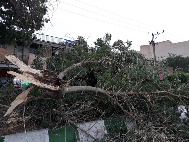 توفان با سرعت 90کیلومتر بر ساعت شوشتر را درنوردید