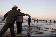 افزایش 20 درصدی صید ماهیان استخوانی در سواحل بندرکیاشهر