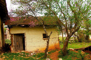 پاشاکلا، روستایی در دل طبیعت ساری