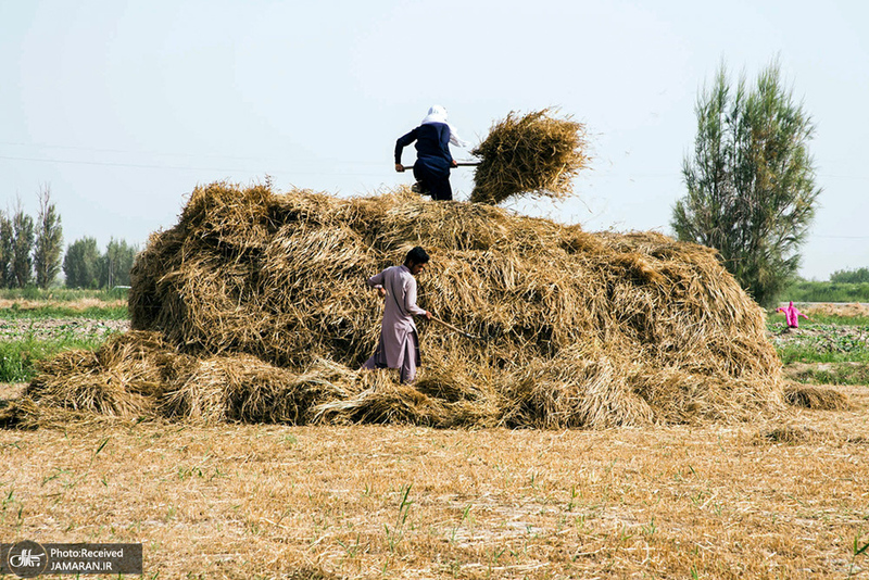 منتخب تصاویر امروز جهان- 6 خرداد