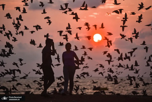 منتخب تصاویر امروز جهان - 27 اسفند 1401