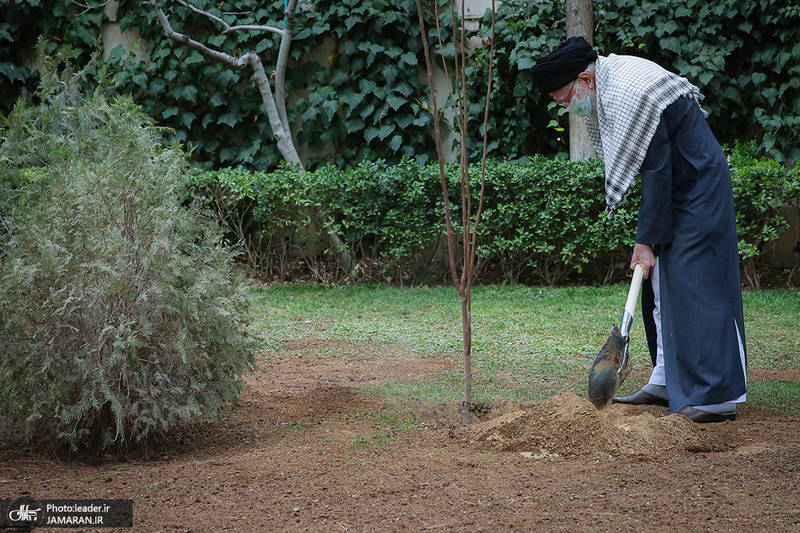 کاشت دو نهال میوه در روز درختکاری توسط رهبر معظم انقلاب
