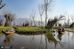 منتخب تصاویر امروز جهان - 30 بهمن 1403