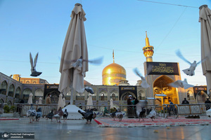 حال و هوای حرم مطهر امام رضا(ع) در روزهای پایانی ماه صفر -1