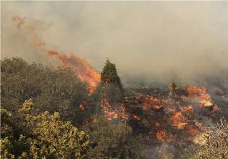 آتش سوزی در پارک ملی گلستان گسترده است