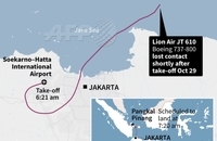 سقوط هواپیمای مسافربری اندونزی