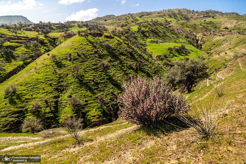 طبیعت بکر و زیبای«کفشکنان»