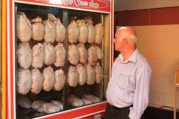 قیمت مرغ همدان در پیچ و خم تعیین تکلیف