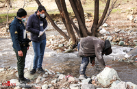 تصاویری دل خراش از جمع آوری معتادان متجاهر از دره فرحزاد