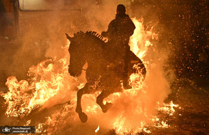 منتخب تصاویر امروز جهان - 28 و 29 دی 1403