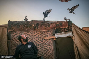 منتخب تصاویر امروز جهان - 7 آبان 1401