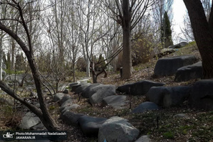 باغ گیاه شناسی ملی ایران