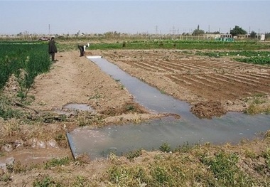 زوج جوان کوهبنانی ملک خود را وقف کردند