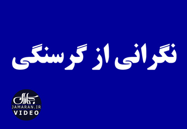 نگرانی از گرسنگی