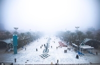 هوای مه‌آلود بین‌الحرمین در کربلای معلی (7)