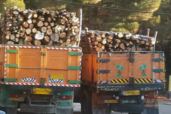 کامیون های حامل چوب در گلستان توقیف می شوند
