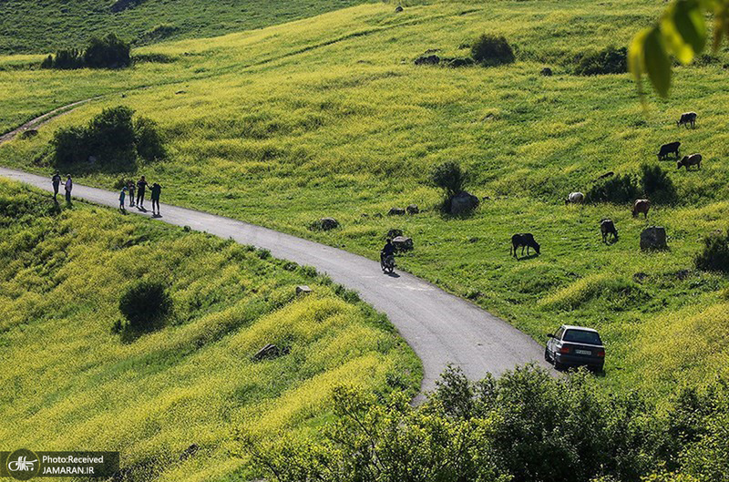 منتخب تصاویر امروز جهان - 31 اردیبهشت 1401