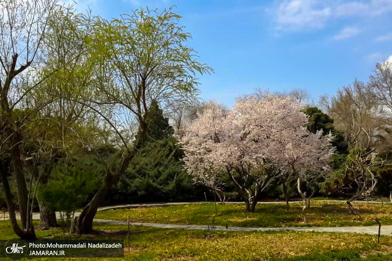 باغ گیاه شناسی ملی ایران