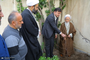 کاشت نهال توسط آیت الله العظمی جوادی آملی در هفته درختکاری