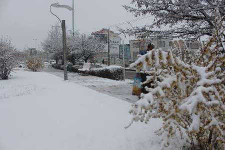 لرزه بر اندام باغداران  باغداران اردبیلی نگران سرمازدگی هستند