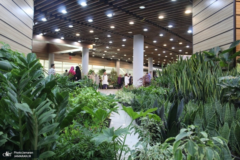 نمایشگاه گل و گیاه (93)