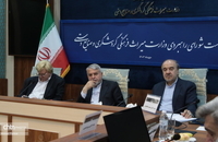 نخستین نشست شورای راهبردی وزارت میراث‌فرهنگی، گردشگری و صنایع‌دستی (31)