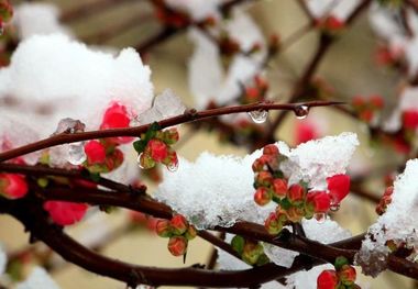 زمستان به آذربایجان شرقی برمی گردد