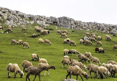 ییلاق سوباتان، بهشت زیبای ایران+ تصاویر