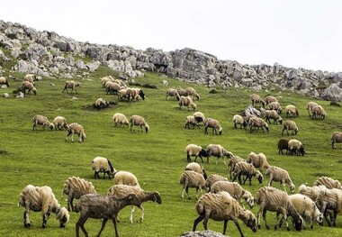 ییلاق سوباتان، بهشت زیبای ایران+ تصاویر
