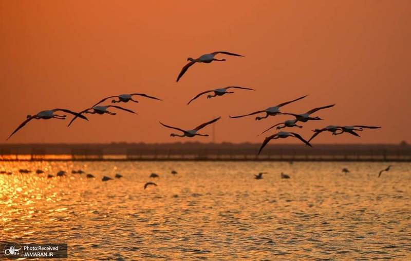 منتخب تصاویر امروز جهان- 8 خرداد 1400