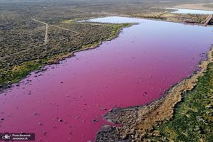 منتخب تصاویر امروز جهان- 6 مرداد 1400