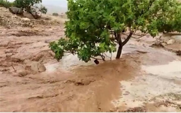 آخرین اخبار از سیل در استان های مختلف کشور: از تلف شدن 2000 دام در الیگودرز تا آسیب به نخلداران جیرفت