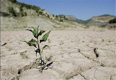 محققان راهکار مقابله با تغییر اقلیم در کشاورزی را ارایه دهند