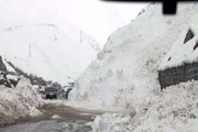 10 میلیارد تومان خسارت بارش برف در مازندران