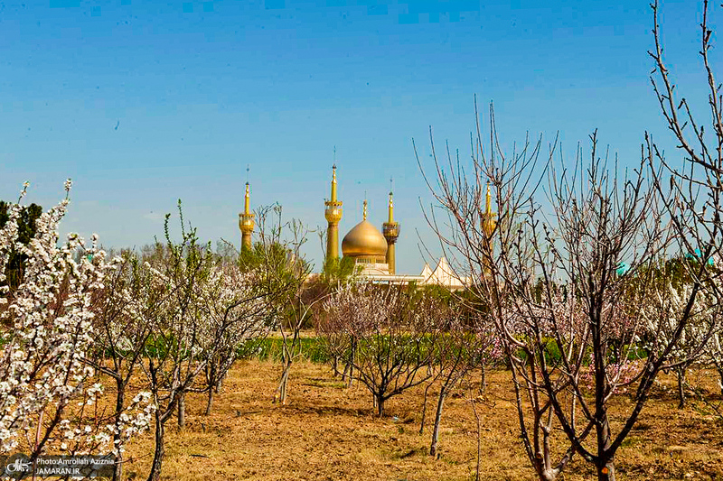 حال و هوای بهاری در حرم مطهر امام خمینی (س)