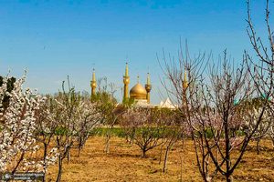 حال و هوای بهاری در حرم مطهر امام خمینی (س)