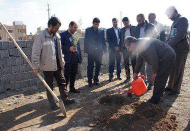 کاشت 500 اصله نهال در دانشگاه پیام نور کردستان