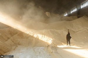 شوق شیرین تولید شکر / کارگران تولید قند و شکر