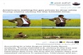 کنایه جالب رئیس کمیسیون‌ امنیت‌ ملی‌ مجلس به وضعیت آمریکایی‌ها + عکس