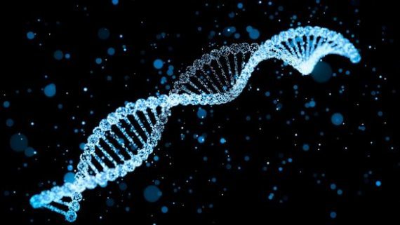 استخراج DNA از سلول گیاهی در دانشگاه بیرجند