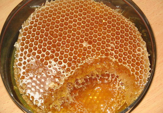 رشد 61 درصدی تولید عسل در زنجان