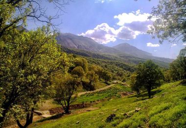 مهربانی با طبیعت را به یک الگو تبدیل کنیم